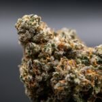 How to Identify High-Quality Cannabis Flower