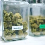 Why Having Lots of Cannabis Products Is Important at a Cannabis Store