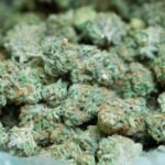 What Makes The Smokey Leaf Special Compared To Dispensaries In Greenfield